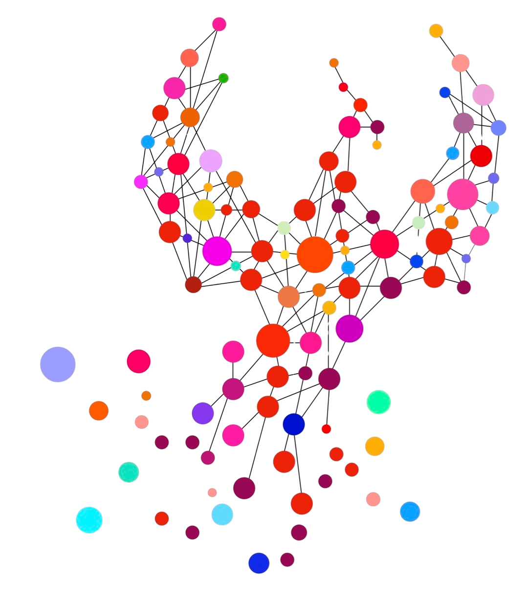 Coaching-Compassion Universe